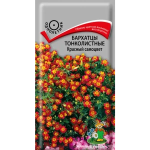 Семена цветов Поиск бархатцы тонколистные Красный самоцвет 86217923 STLM-2091843