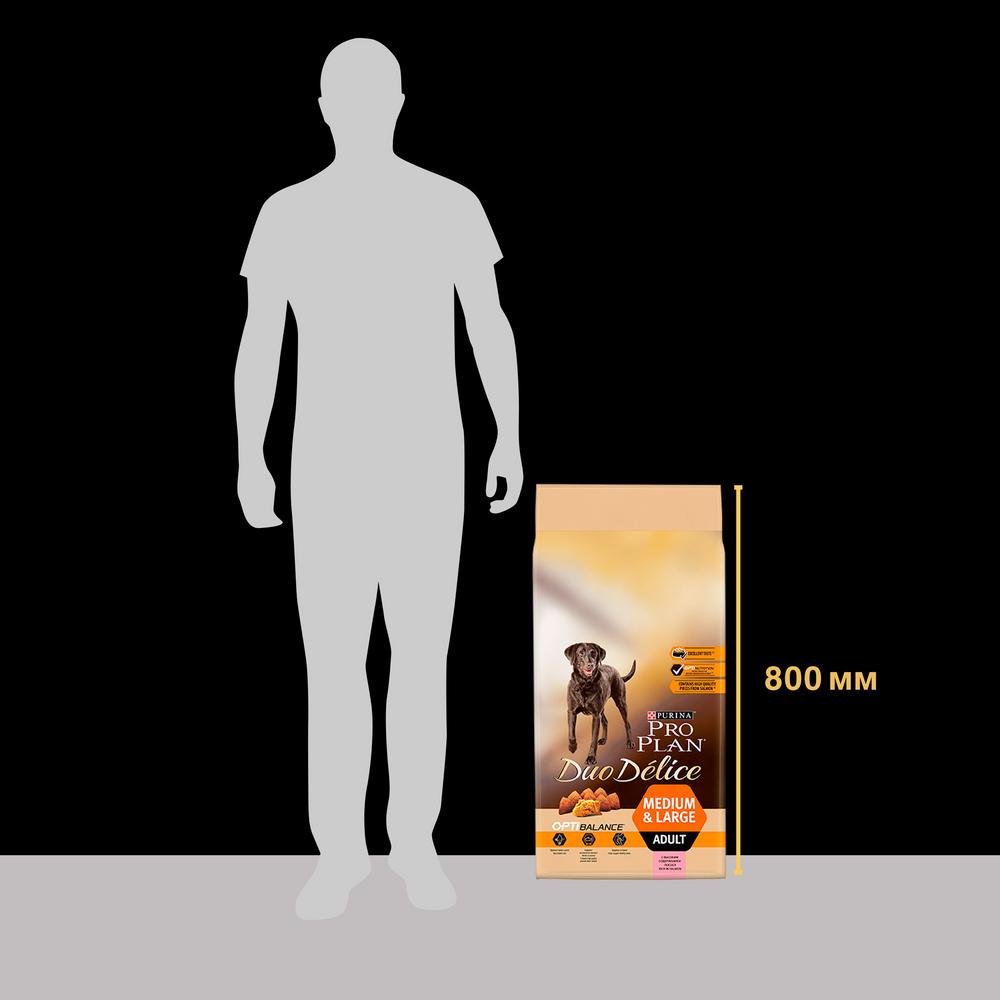 ПР0059713 Корм для собак Duo Delice Лосось сух. 10кг Pro Plan  - Вид №2