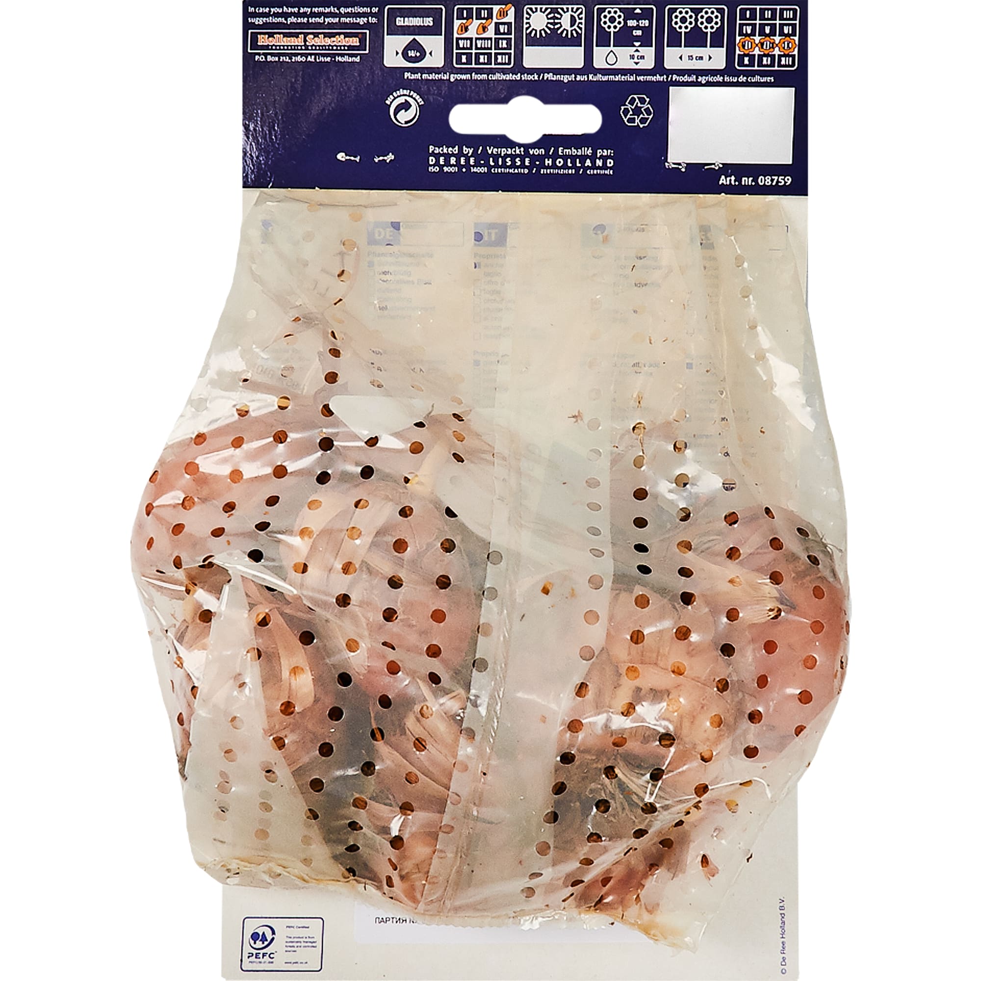 13063422 Луковицы Гладиолус Бель де Нуи 14 темно-бордовый 8 шт Santreyd  - Вид №1