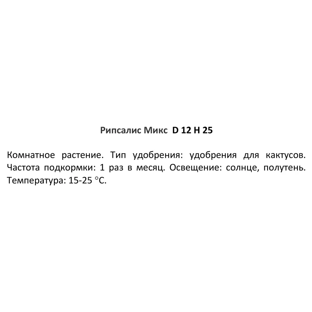 Рипсалис микс ø12 h25 см Росток 84587381 STLM-2075294 Santreyd  - Вид №2