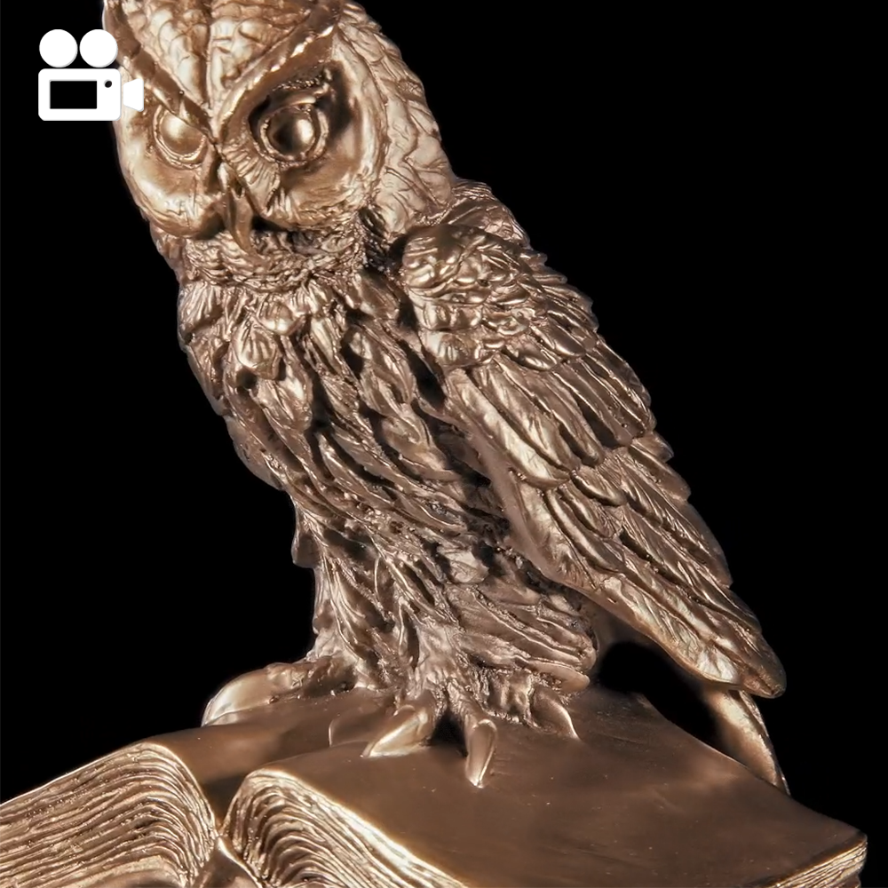 22139 Статуэтка Ученый Филин Бронза BOGACHO 4627138239414