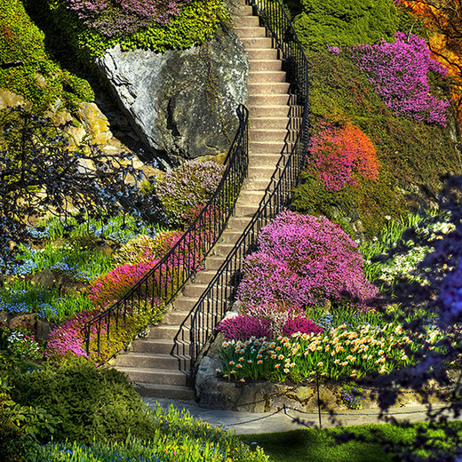 B1-070 Фотообои DIVINO Collection B 2.7х2 м B1070