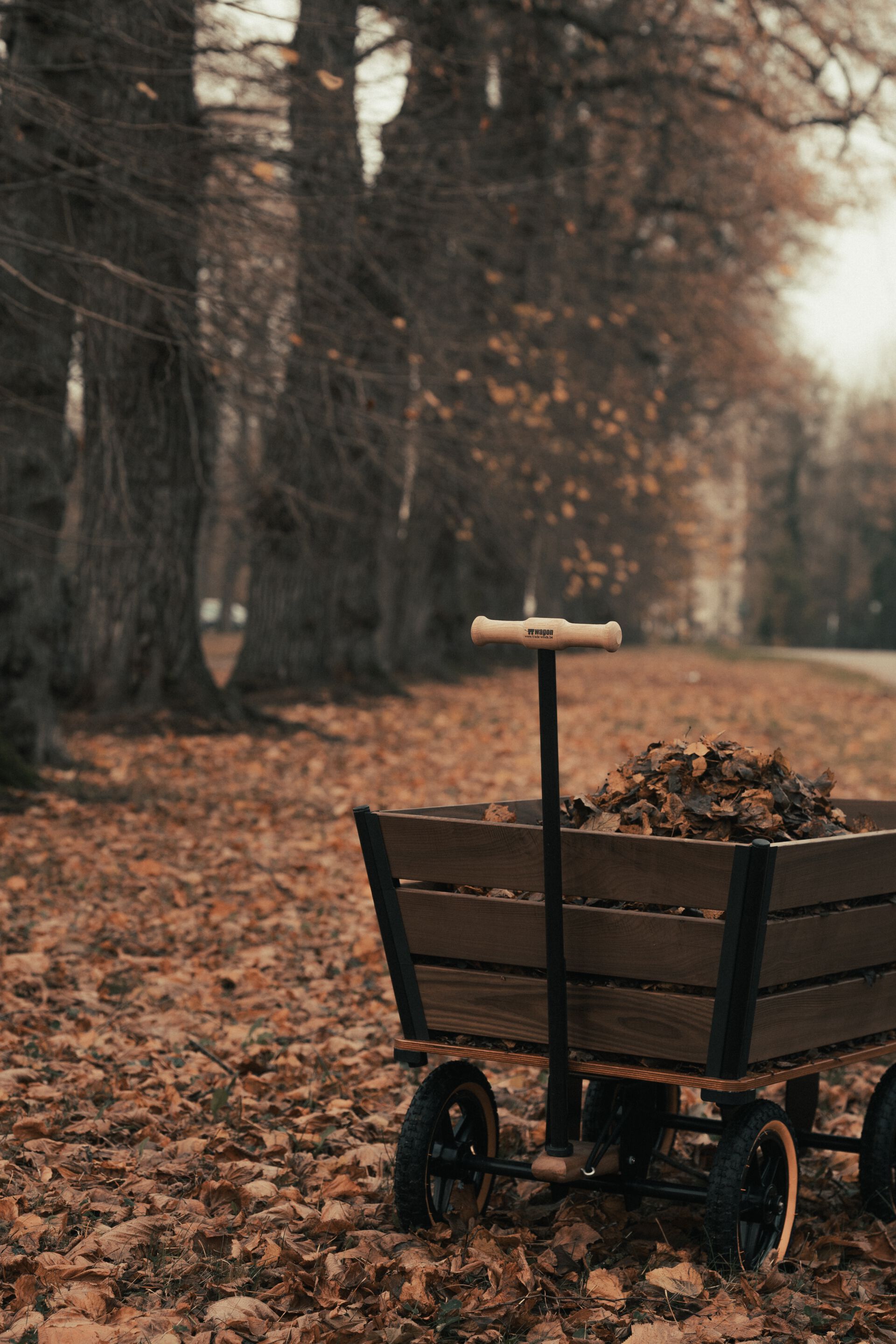 Садовая тележка TRADEWINDS THE PLANK WAGON ARCH-00043245 - Вид №26