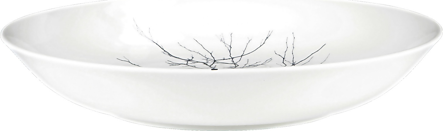 81107 Dibbern Тарелка для пасты глубокая Dibbern "Чёрный лес" 26см Фарфор костяной 