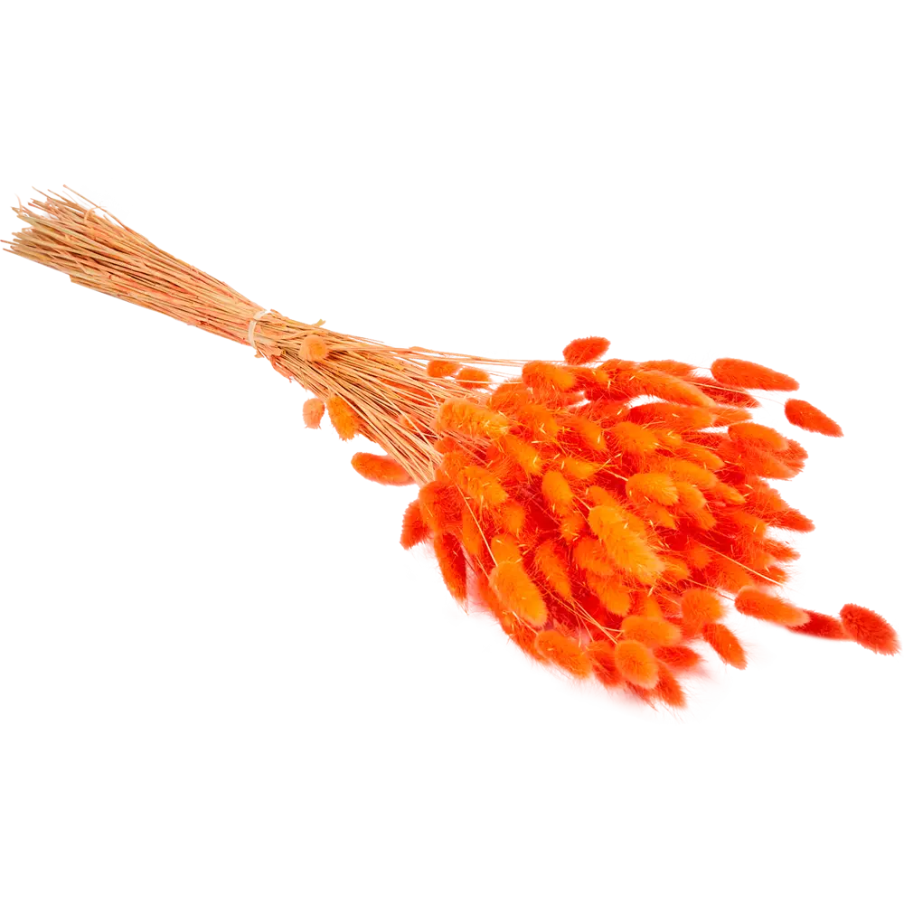 Букет из сухих цветов Лагурус микс 1 70 см Santreyd STLM-2132636