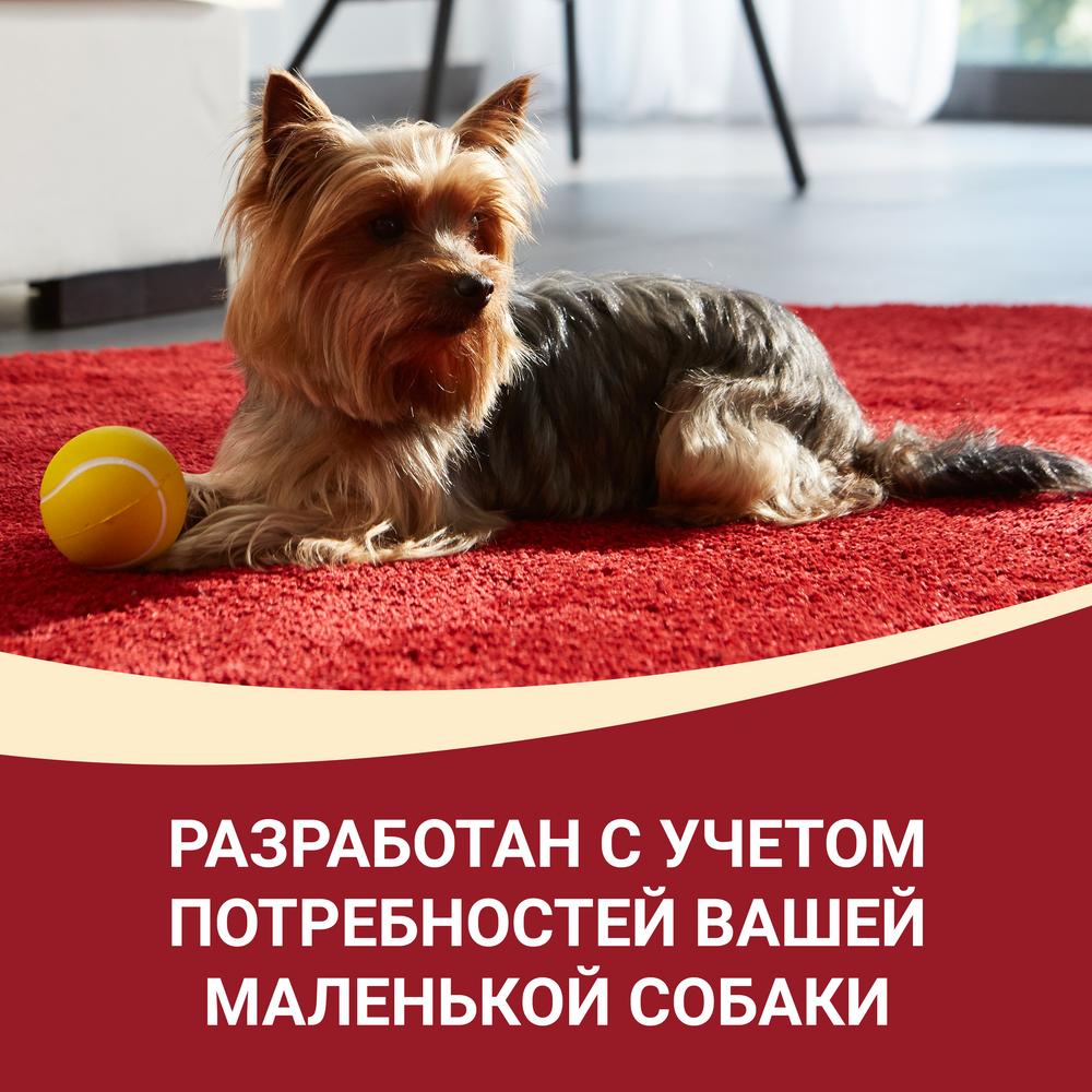 ПР0053578 Корм для собак ONE Mini говядина, картофель, горох пауч 85г PURINA  - Вид №8