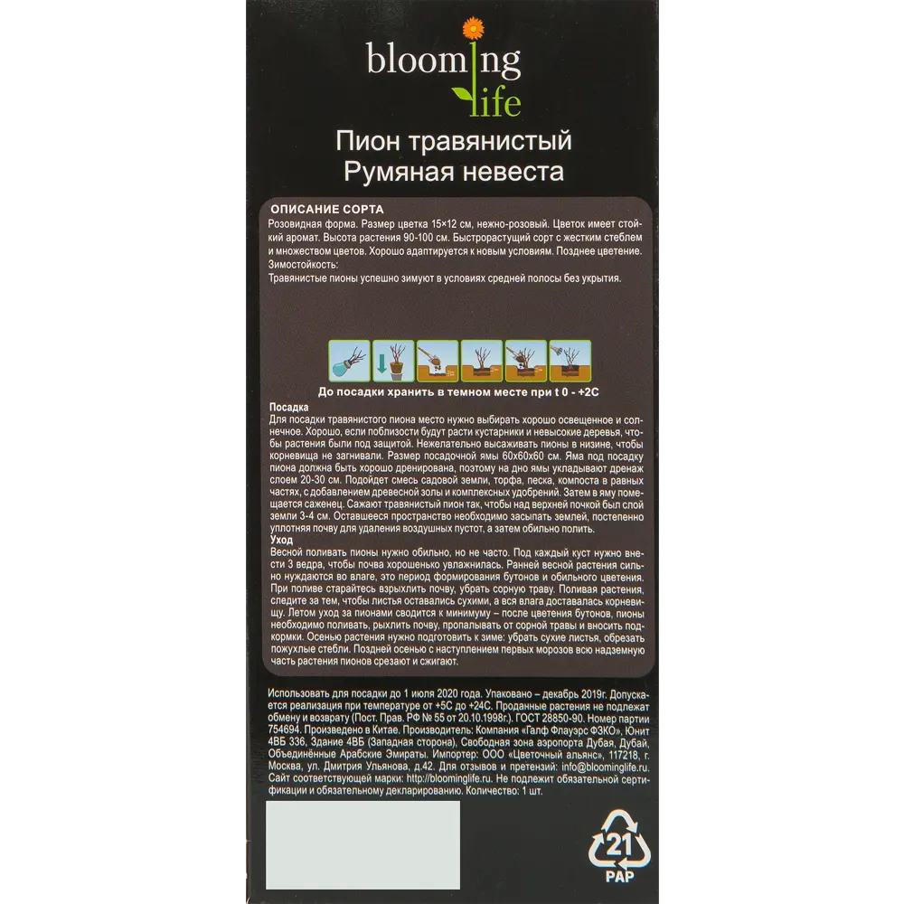 Пион травянистый Румяная невеста в тубе 82539513 STLM-2133480 BLOOMING LIFE  - Вид №1