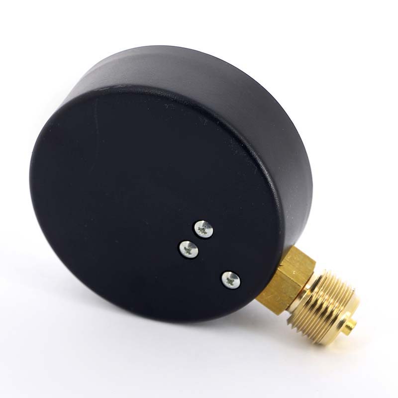 Манометр радиальный F+R200 1/2" 100 мм WATTS Ind 16 бар 10008079 - Вид №2