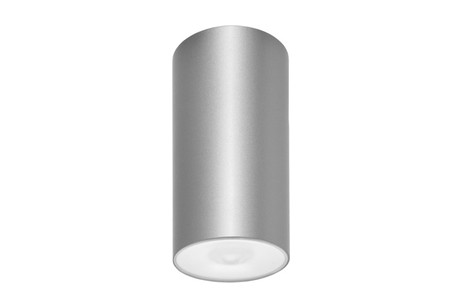 DST-87 Lens watertight ceiling-mounted Daisalux Светильники аварийные Серебристо-Серый 