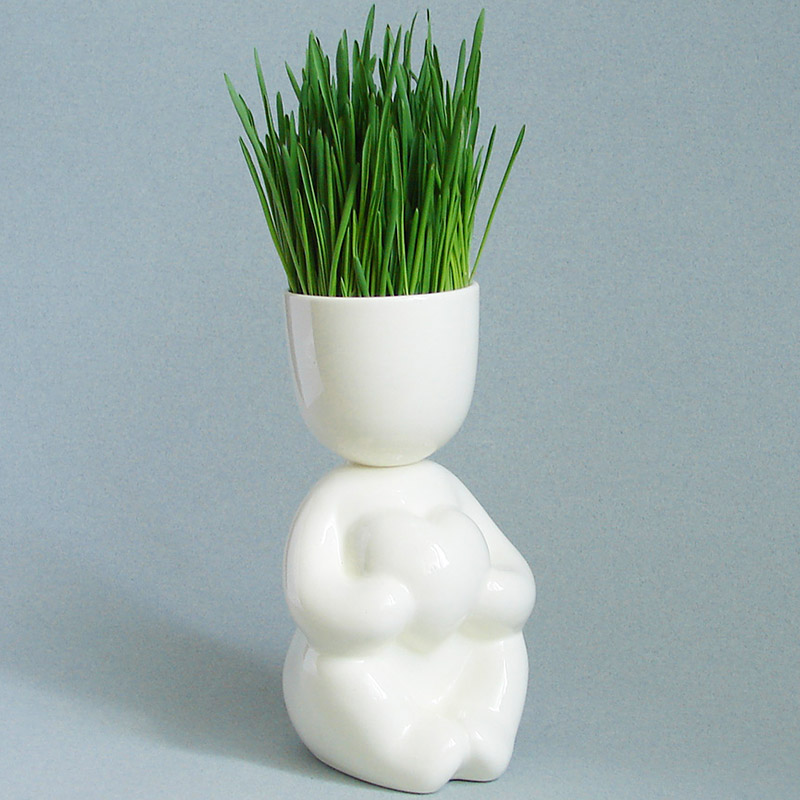 Набор для выращивания eco Романтик ЭКОЧЕЛОВЕКИ  254581 Белый  - Вид №2