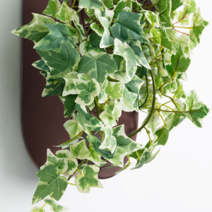 070539 Настенный горшок коричневый La Forma Aldina