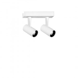 Point Evo 00W 2L Ghidini Point Evo Wall / Ceiling .01 Белый (Матовый)