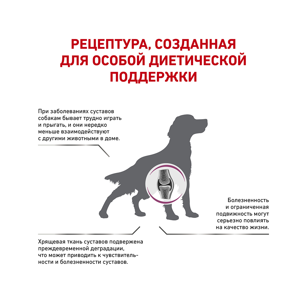 ПР0056723 Корм для собак RC Vet Diet Mobility C2P+ для опорно-двигательного аппарата сух. 12кг ROYAL CANIN  - Вид №2