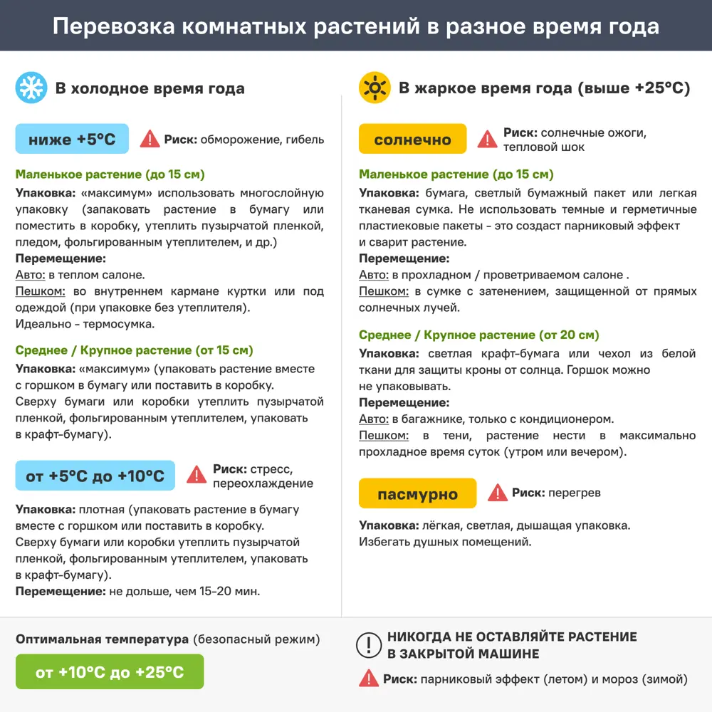 Кодиум Экселлент 13x40 см 82422220 STLM-2202123 Santreyd  - Вид №1