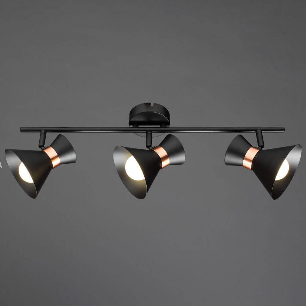 Спот потолочный на 3 лампы черный Baltimore A1406PL-3BK ARTE LAMP BALTIMORE BLACK 00-3923989 Черный  - Вид №2