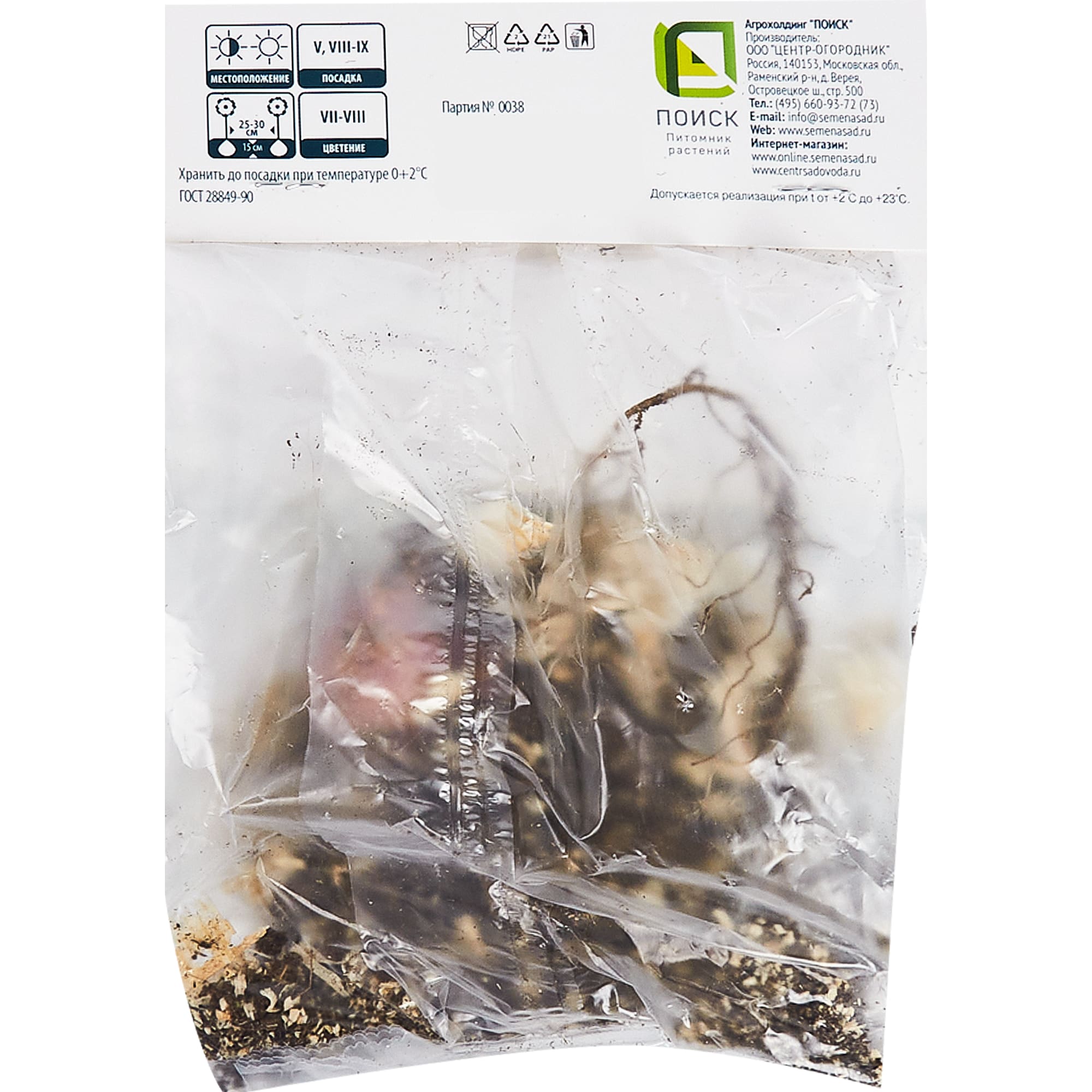 83597420 Лилия восточная Бразилия луковица 12/14 Santreyd  - Вид №1