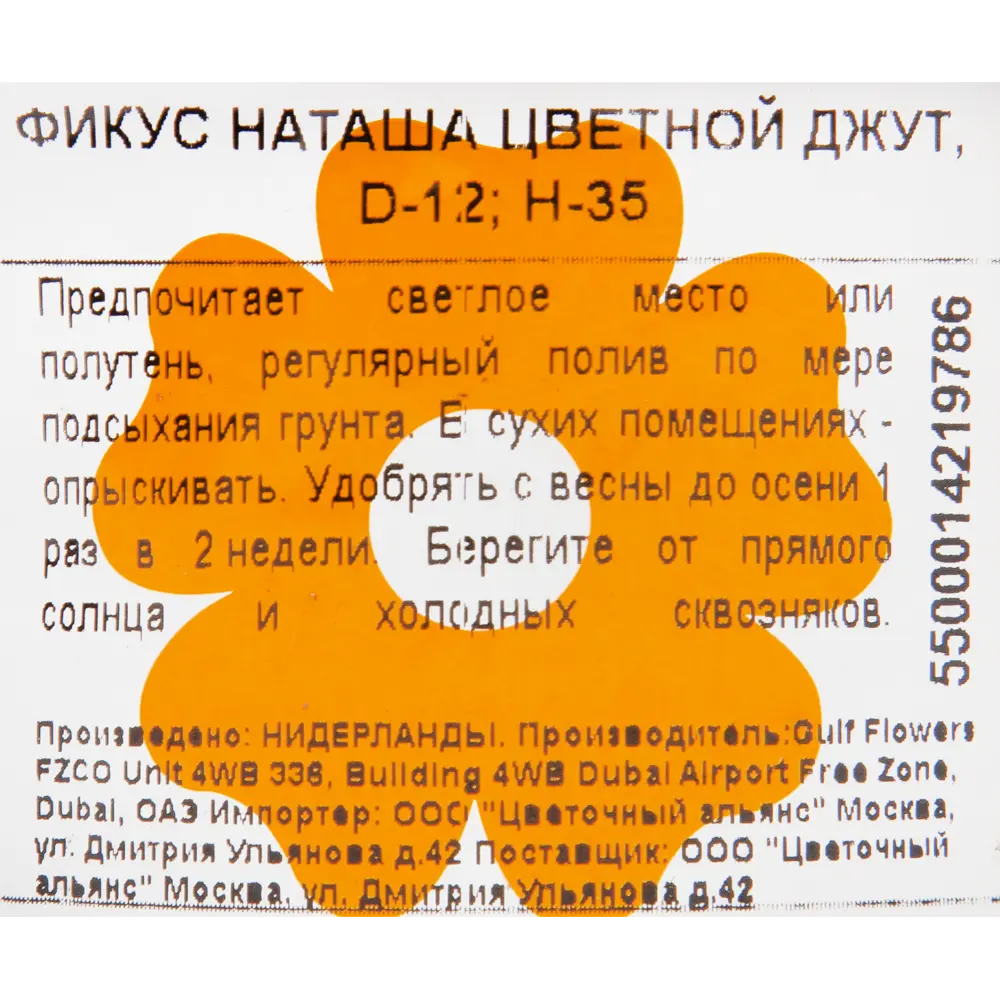 Фикус "Наташа цветной джут" 12x35 см 82850358 STLM-2175775 Santreyd  - Вид №2