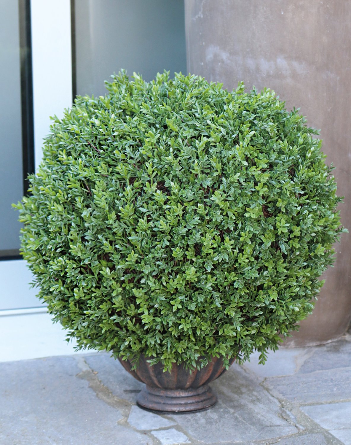 4979 883 a3 Мяч из искусственного самшита, синтетический материал, в горшке, 60 см, зеленый H-andreas  - Вид №2