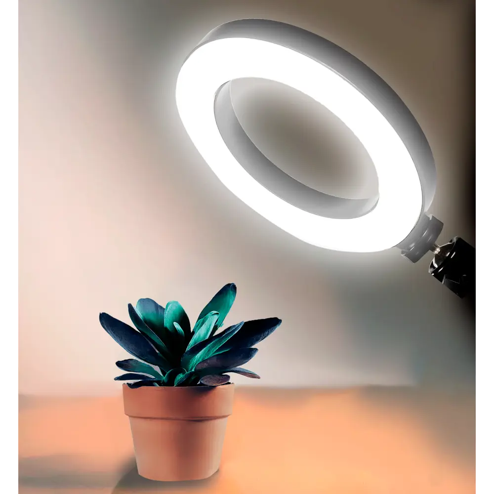 Кольцевая светодиодная лампа Santreyd 26 см для профессиональной съемки 85600163 STLM-1378600 - Вид №3