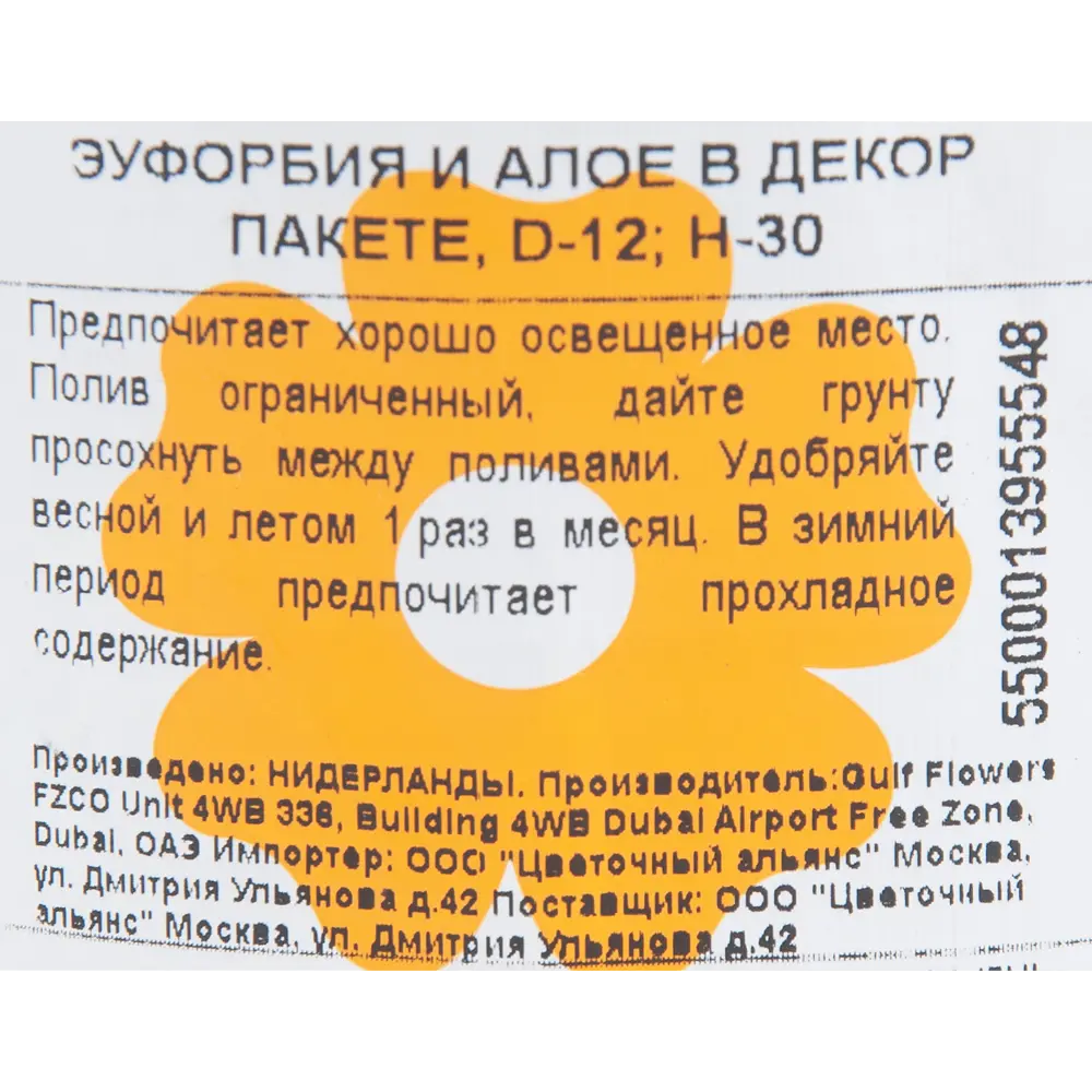 Эуфорбия и алоэ в декоративном пакете 12x30 см 82850443 STLM-2095491 Santreyd  - Вид №2