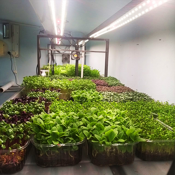 3326 2.7.с Комфорт 5000K - Рассада, Зелень, Микрозелень. Длина 90 см LAB.Space  - Вид №5