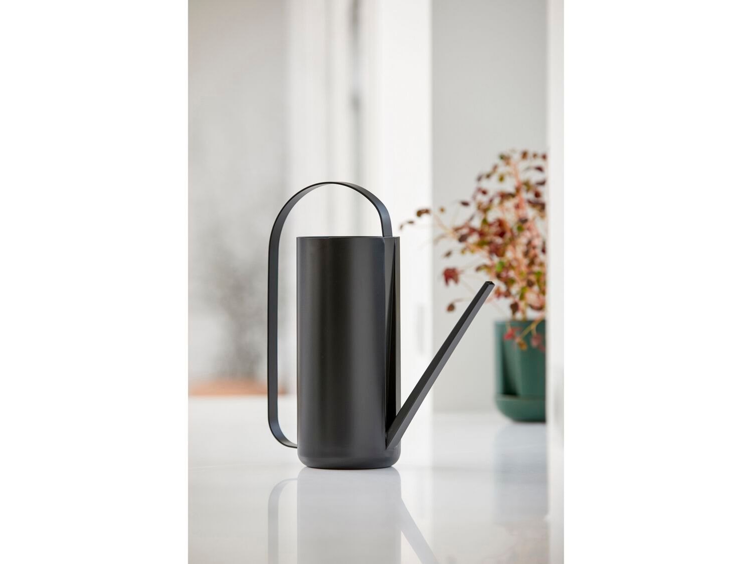 Стальная лейка ZONE DENMARK Annaffiatoio ARCH-00122652 - Вид №1