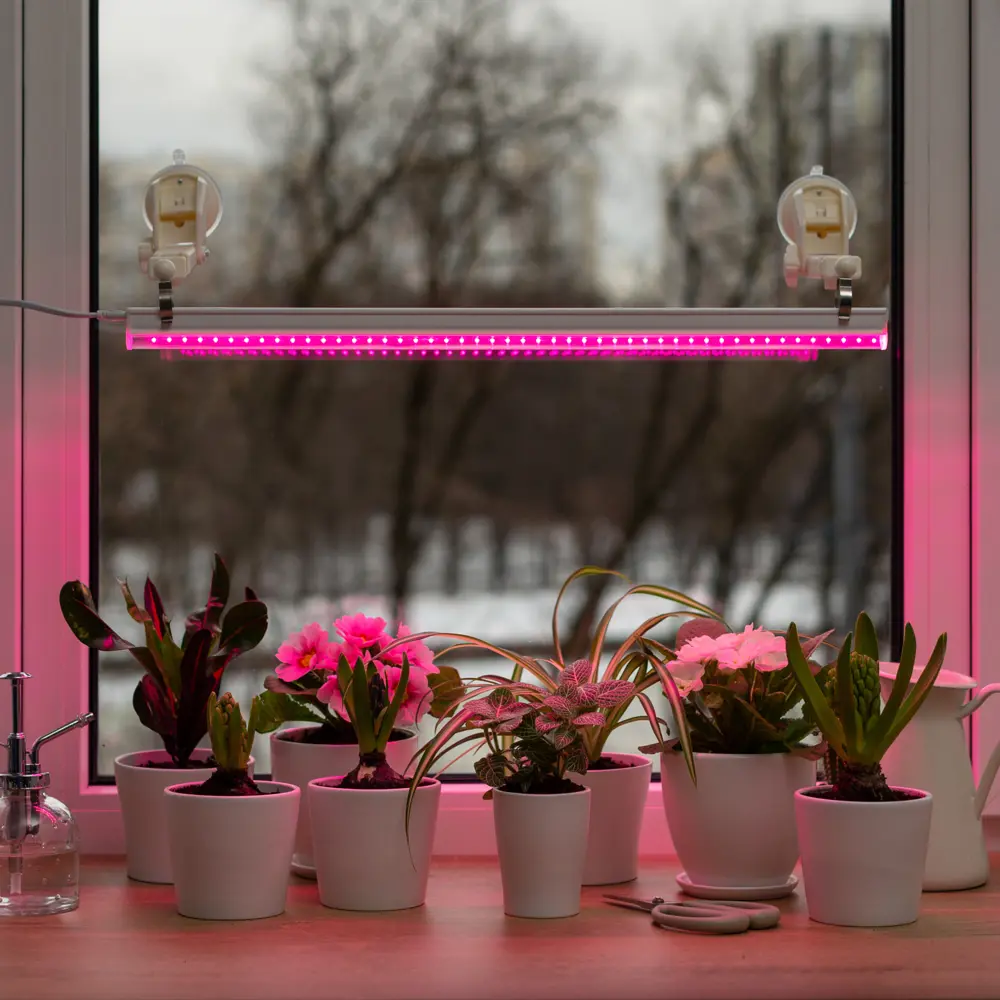 Фитолампы Ritter Planta для растений с выключателем - эффективная досветка рассады и цветов 85336791 STLM-0061766 - Вид №21