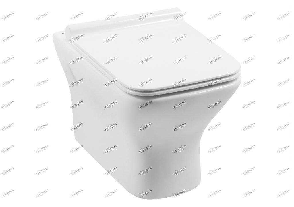 CL12248D Подвесной унитаз настенный Белый Aquanet  Китай 