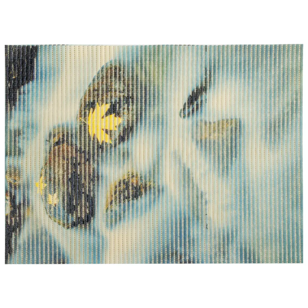 Набор ковриков для ванной комнаты фотопечать 47х67 см цвет в ассортименте V-LINE STLM-2128128