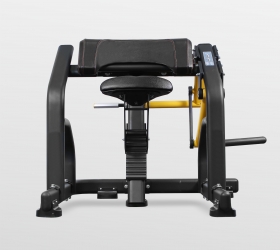 PL-1713 Bronze gym pl-1713 бицепс Bronze Gym  - Вид №3