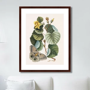 Картина: Beauty bloom №3, 1732г. КАРТИНЫ В КВАРТИРУ  264203 Разноцветный