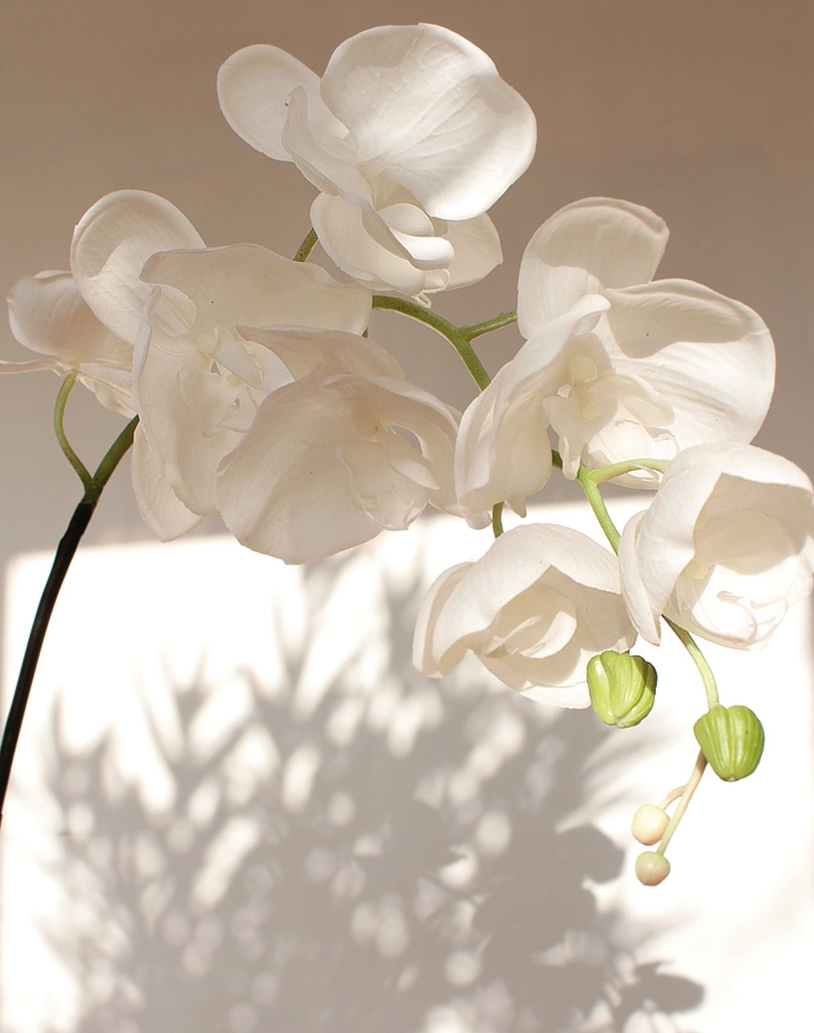 2407 700 a3 Искусственная орхидея Phalaenopsis, 114 см, real touch, чисто-белая H-andreas 