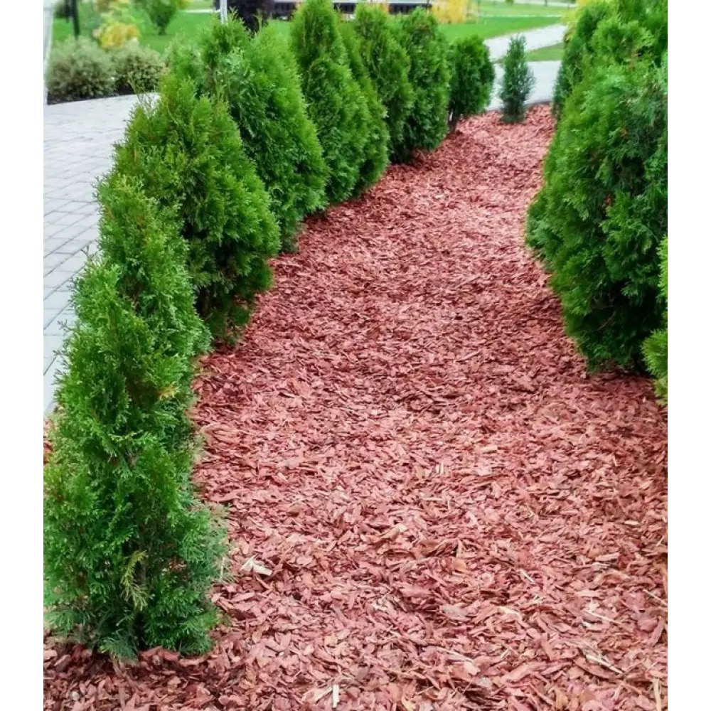 Santreyd Кора сибирской лиственницы для мульчирования 60 л 87487629 STLM-1359332 - Вид №3