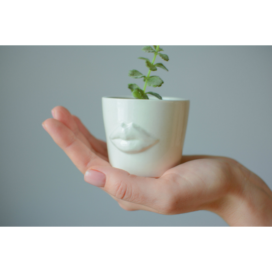 MIN-1-01 Набор для выращивания eco мини-кашпо «губы» Экочеловеки  - Вид №1