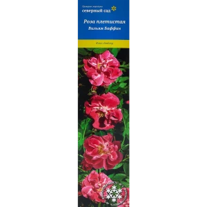 Роза канадская плетистая Вильям Баффин h100 см 86543306 STLM-2014313