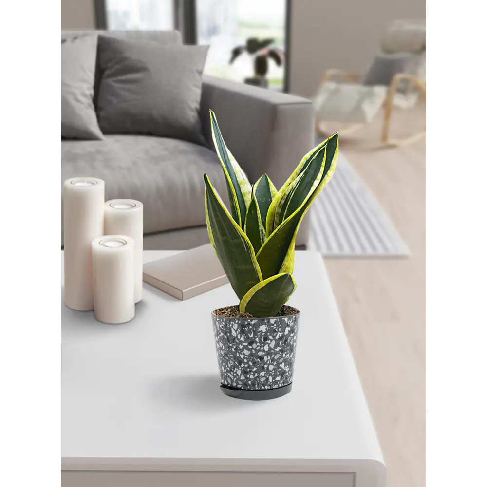 Горшок для цветов Stone Flower ø16 h14.6 см v2 л пластик черный Santreyd STLM-2048121 - Вид №3