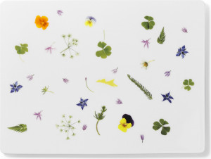 10639977 Dibbern Блюдо Dibbern "Дикие травы" 32х24см Фарфор