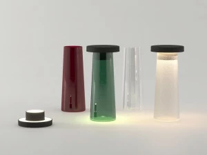 Lym Настольная ваза-диффузор