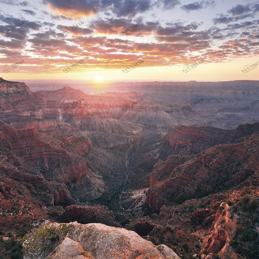 SH078-VD4-The-Canyon Фотообои Komar Stefan Hefele 2.5х4 м SH078VD4THECANYON