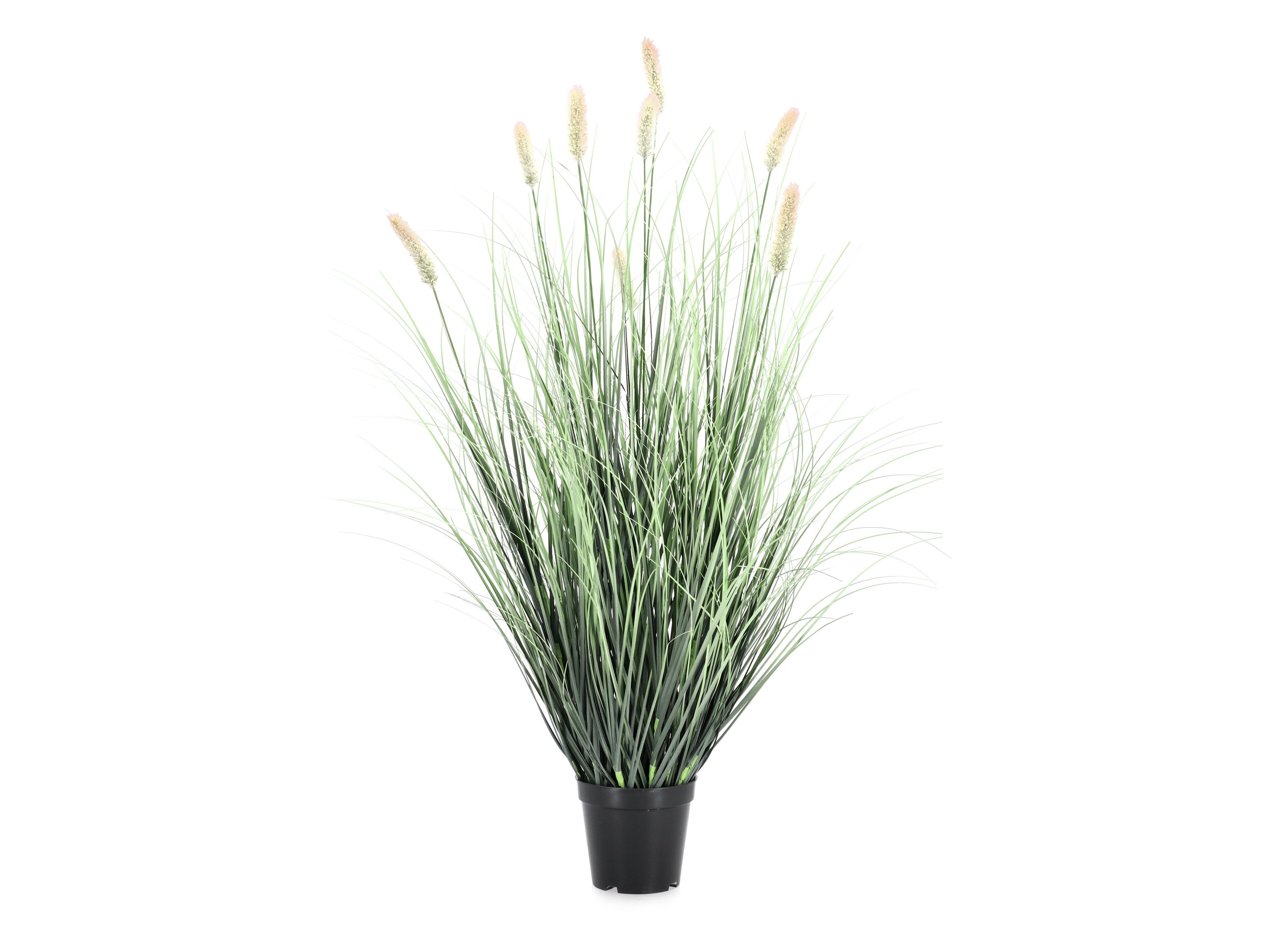 Искусственное растение BIZZOTTO PENNISETUM H90 ARCH-00111784