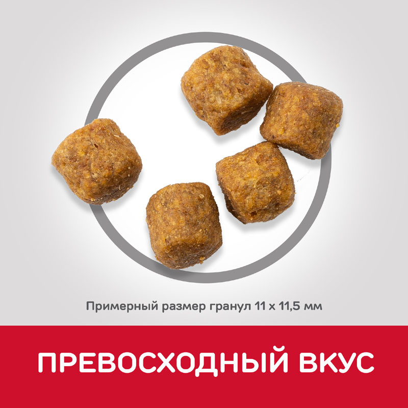 Т0055169 Корм для собак Hill"s Science Plan от 7 лет ягненок, рис сух. 12кг Hill's  - Вид №4