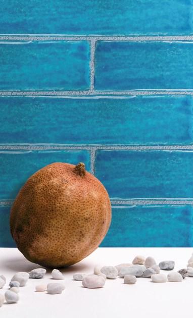 Danilo Ramazzotti Внутренняя облицовка майоликой Mare Ma4 - Вид №2