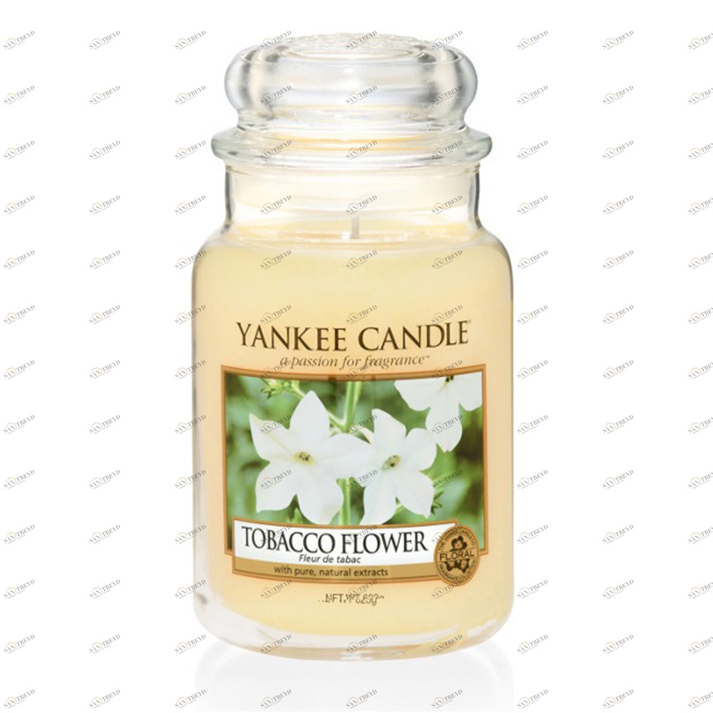 Свеча большая в стеклянной банке "Цветок Табака" Tobacco Flower 623 гр 110-150 часов YANKEE CANDLE  267876 Желтый 