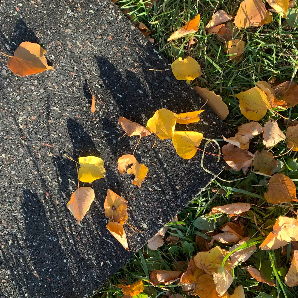 Santreyd: Резиновая садовая дорожка 2500x400x5 мм для идеального ландшафта 84317872 STLM-0048435 - Вид №5