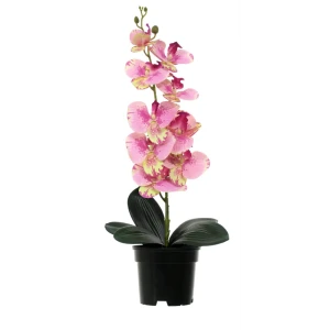 89356245 Искусственное растение в горшке орхидея h50 см цвет розовый STLM-0953816