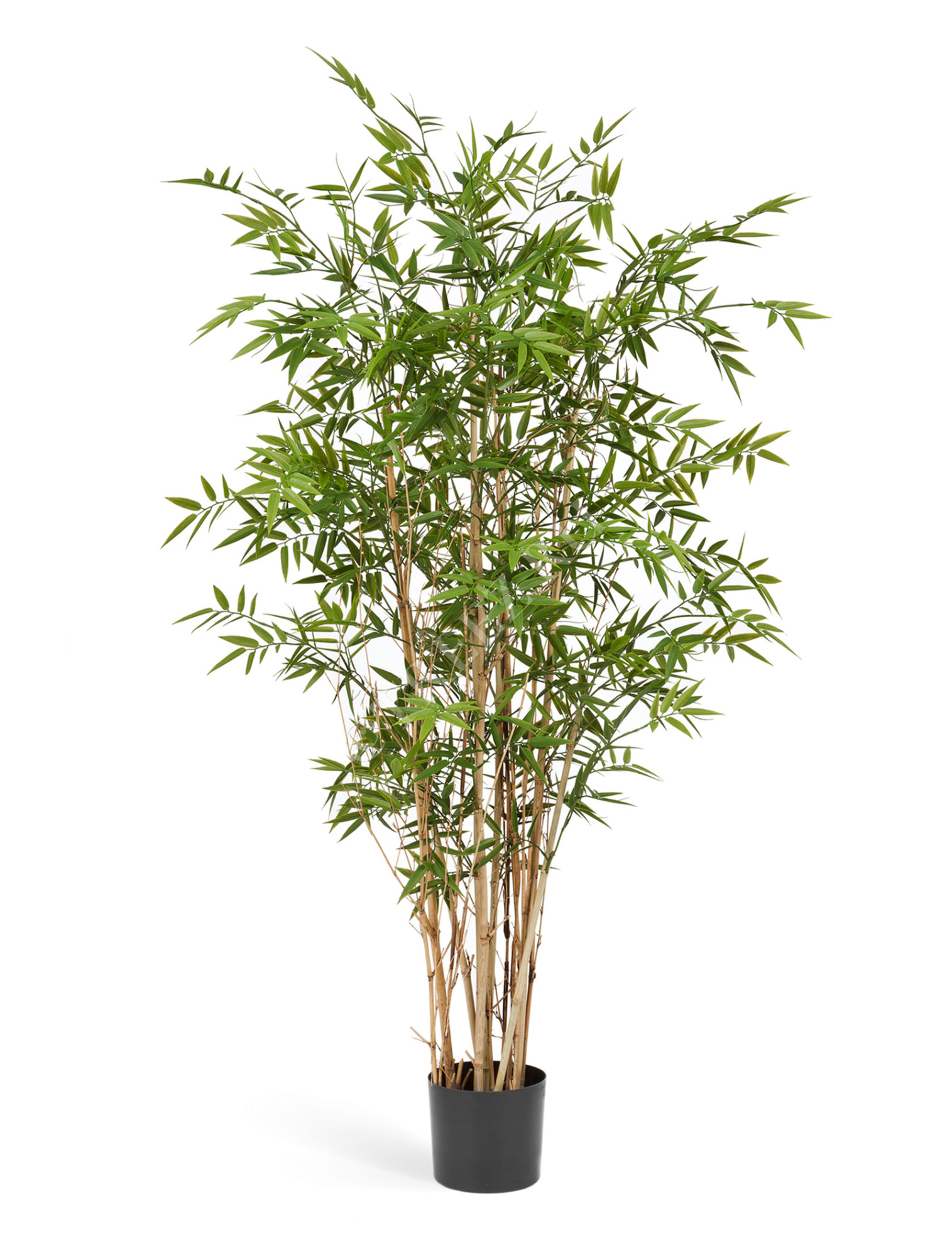 10.33906N Бамбук Новый Японский Элегант Цветочная коллекция 