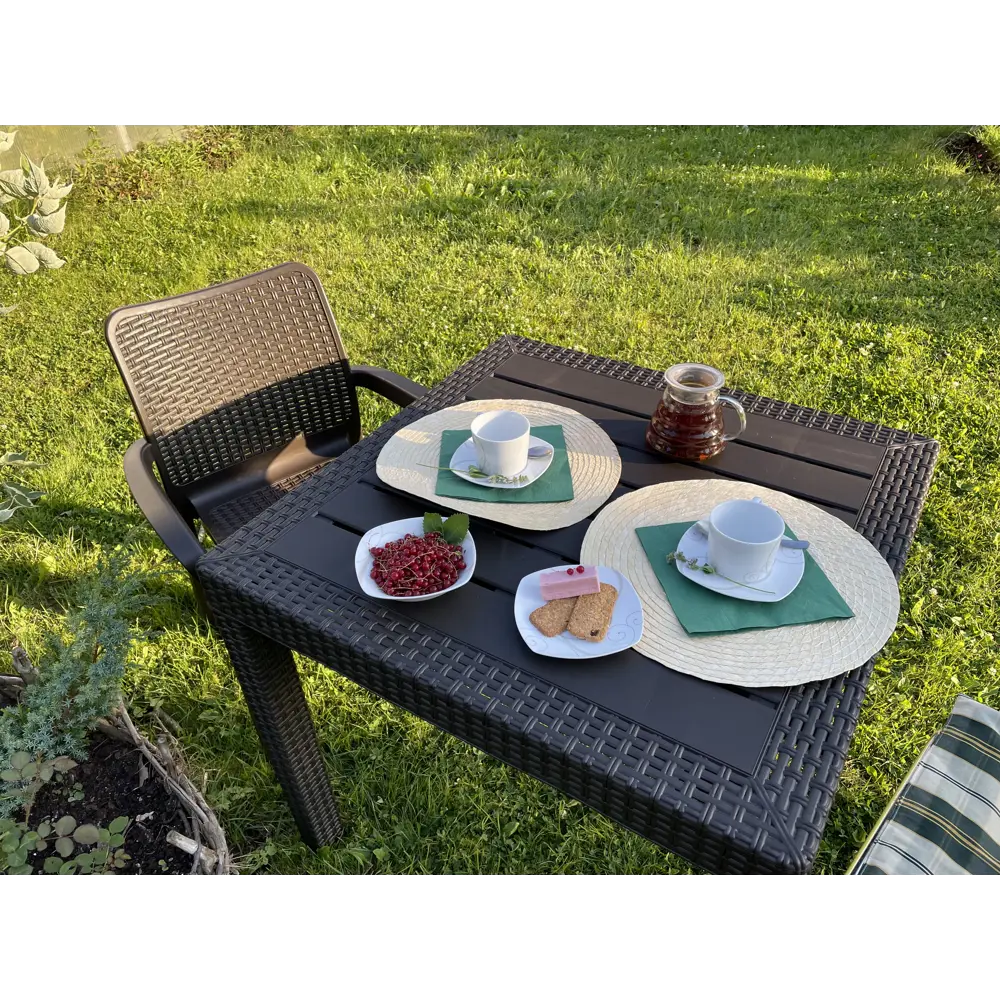 Стол INGREEN Rattan для террасы и гостиной 84347942 STLM-0048752 - Вид №7