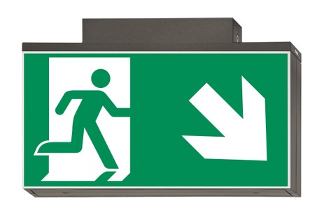 DST-787 Lisu ceiling-mounted Daisalux Светильники аварийные Металлический Серый 