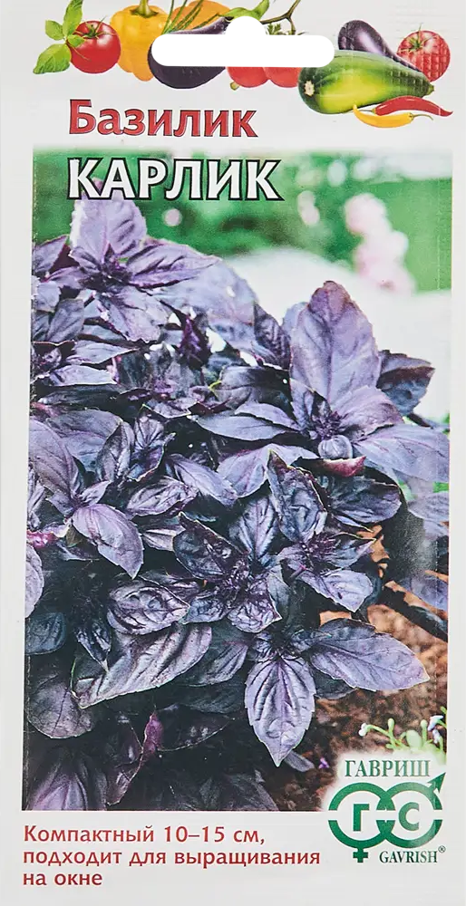 ГАВРИШ Базилик Карлик Фиолетовый — ароматная зелень для дома и сада 86222865