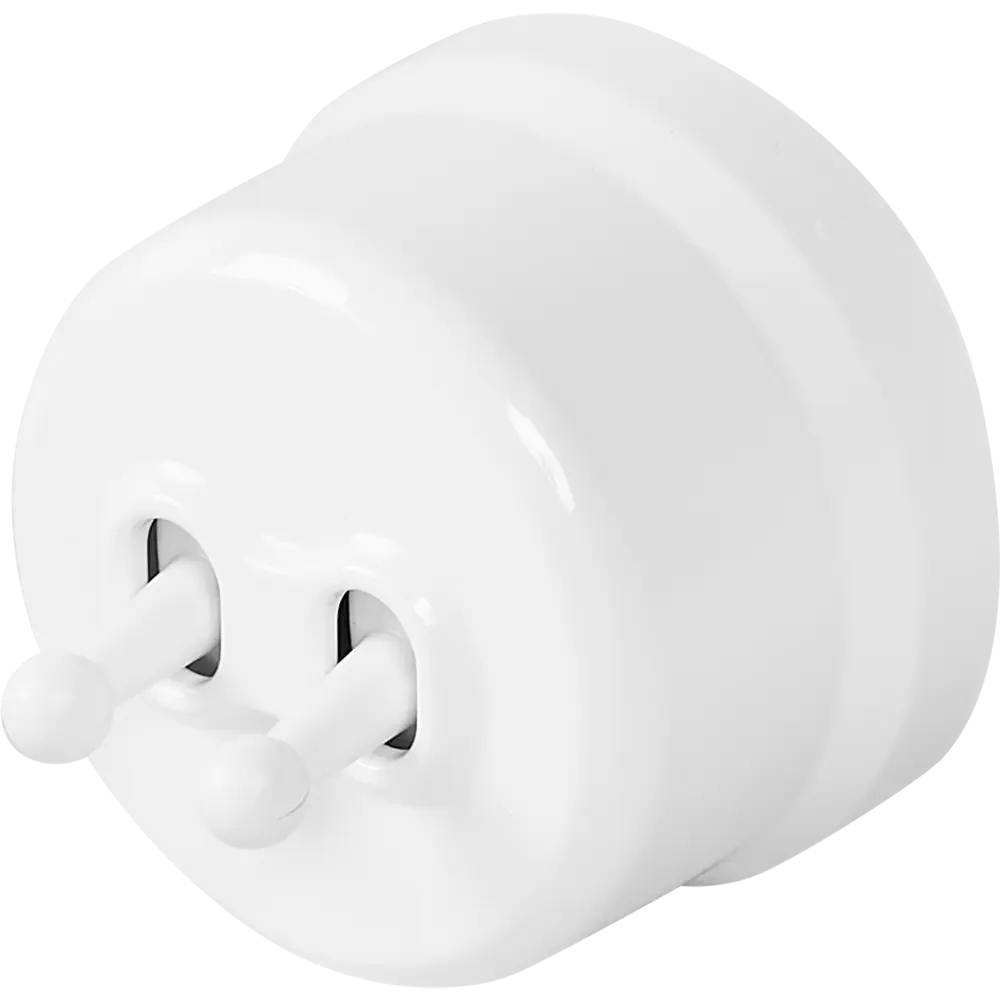 Выключатель Electraline двухклавишный тумблерный в глянцевом белом исполнении 84229205 Лофт STLM-0047237